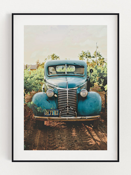 Car in the Vineyard Poster