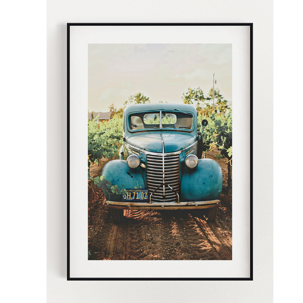 Auto im Weinberg Poster